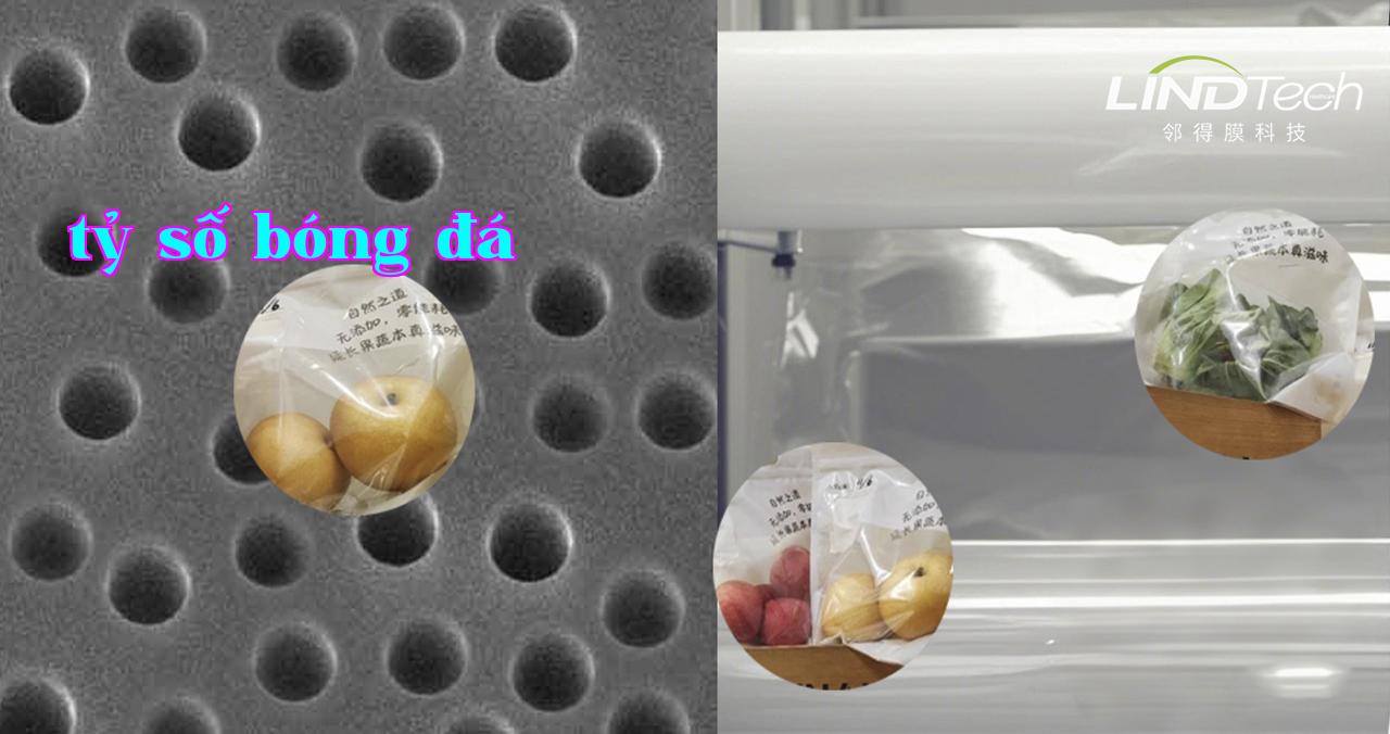 Khám phá ứng dụng của màng lỗ nhân trong bảo quản vật lý ở nhiệt độ thường và tự động điều chỉnh khí: