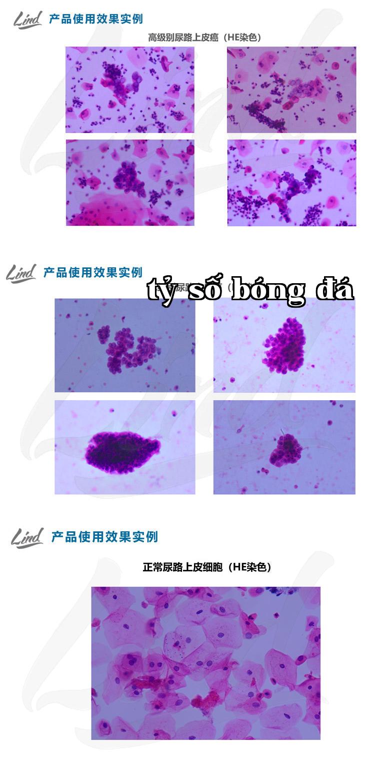 Chưa tiêu đề-2.jpg