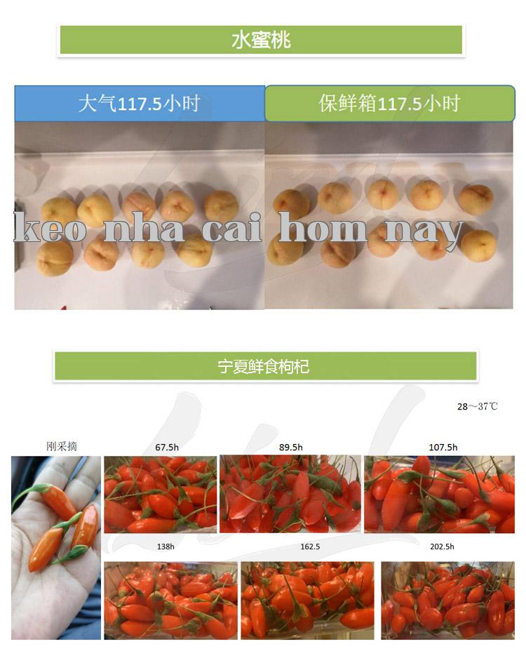 Chi tiết công nghệ đóng gói bảo quản rau quả tươi tự động của màng Linded thay bằng_04.jpg
