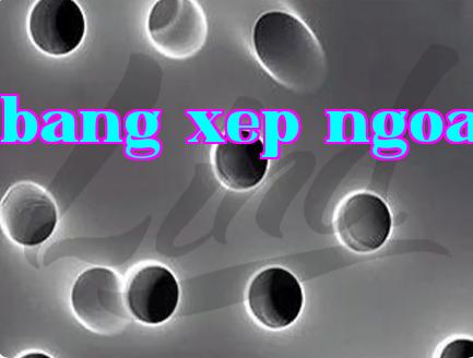 Màng vết phóng xạ: Sự kết hợp giữa cấu trúc lỗ vi mô độc đáo và chức năng chống giả