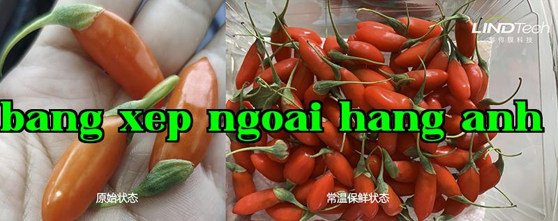 [Bảo quản thường nhiệt] Xem cách kéo dài thời gian bảo quản kỷ tử tươi từ 0,8 ngày lên 3 ngày ra sao