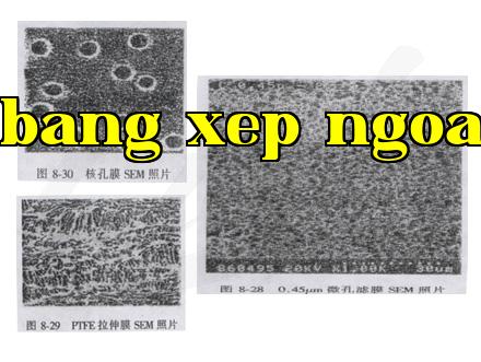 Giới thiệu về màng lõi hạt nhân