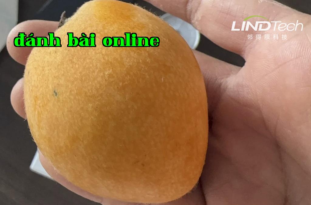 Màng nhân quả - Giải pháp bảo quản vật lý thường nhiệt tự động điều chỉnh khí