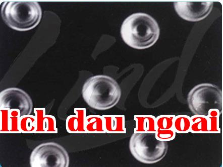 màng lỗ nhân tế bào