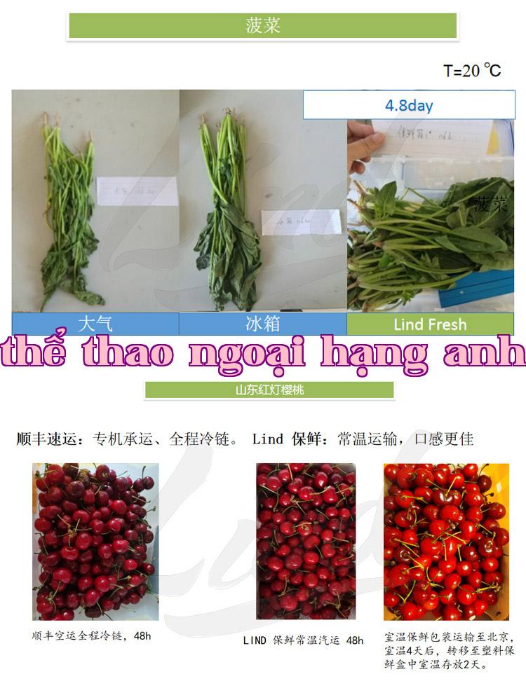 Chi tiết công nghệ đóng gói bảo quản rau quả tươi tự động của màng Linded thay bằng_03.jpg