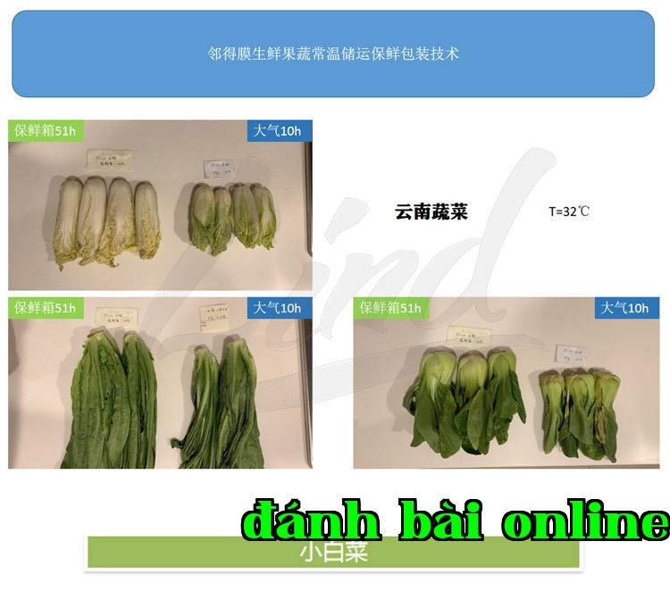 Chi tiết công nghệ đóng gói bảo quản rau quả tươi tự động của màng Linded thay bằng_01.jpg