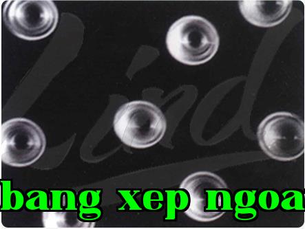 Đặc điểm của màng vi lỗ hạt nhân là gì?