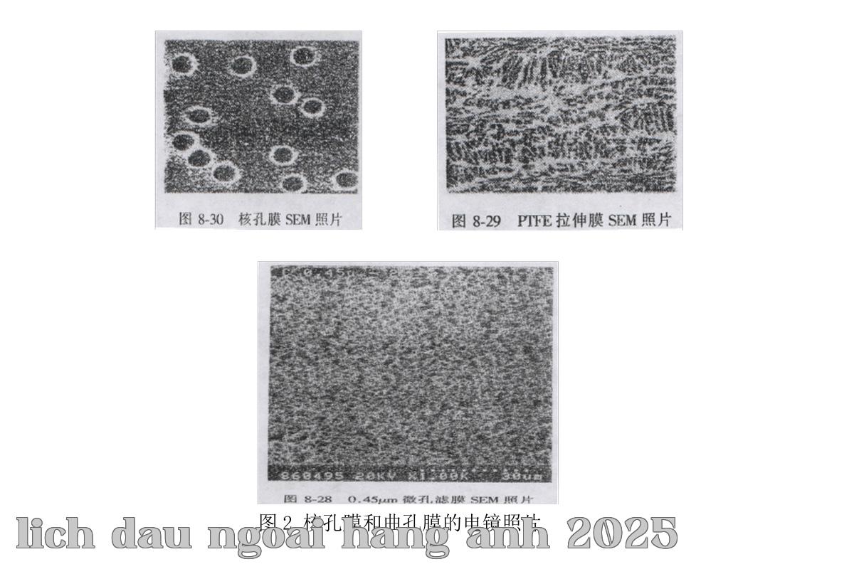 Ảnh chụp màn hình WeChat_20250430173512.jpg