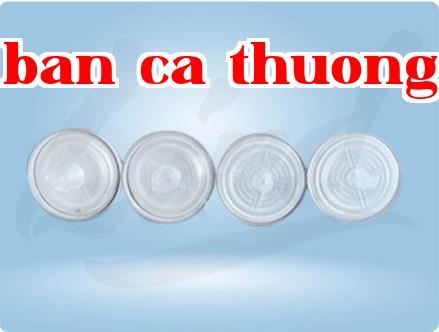 Màng nhân quả được tạo ra như thế nào?