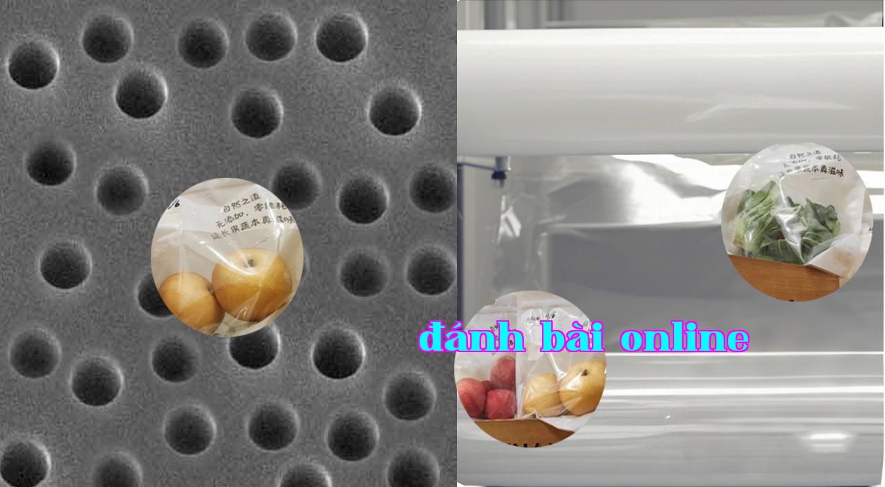 Ảnh_màng_lỗ_hạt_nhân_2.jpg