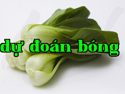 Công nghệ bao gói tự điều chỉnh khí để bảo quản tươi sống, rau quả của Lendem Membrane