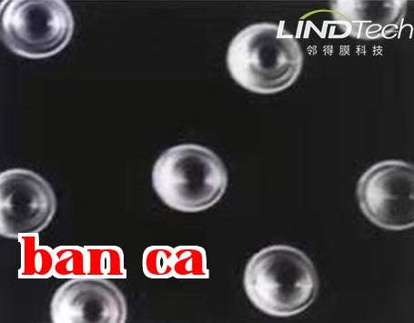 Màng lỗ nhân: Phương án bảo quản vật lý mới, mở khóa mật mã 