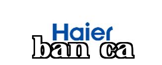 Haier