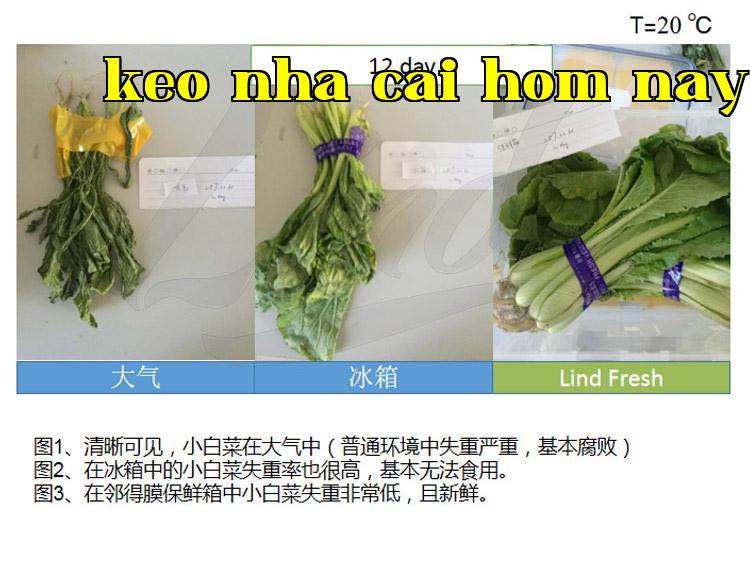 Chi tiết công nghệ đóng gói bảo quản rau quả tươi tự động của màng Linded thay bằng_02.jpg