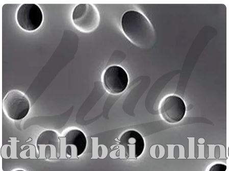 Yêu cầu đối với nhãn dán chống giả